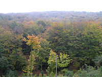 Immagine6