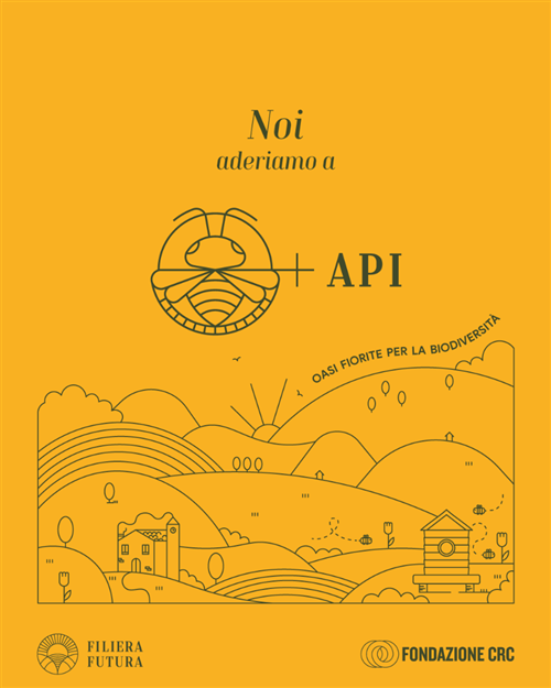 Fondazione CRC - Bando + API 2024